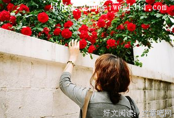 心灵的触动的优美句子