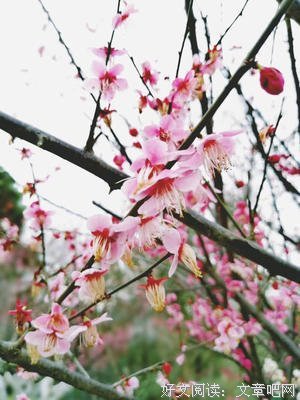 时光经典的句子