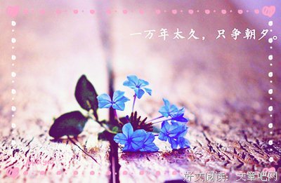 触动心灵的语录