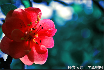 杂谈句子