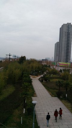 《恩宠之星》好看吗？经典观后感锦集