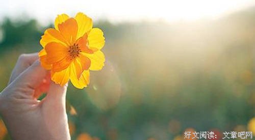 岁月静好，深情以往