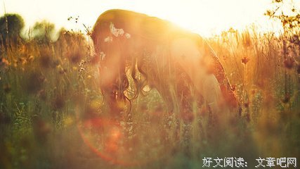 描写满不在乎的语句摘抄