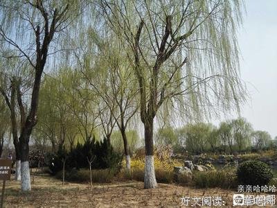 心力交瘁的句子