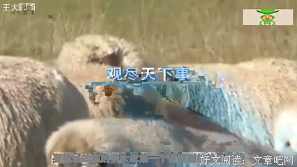 狭路相逢的句子