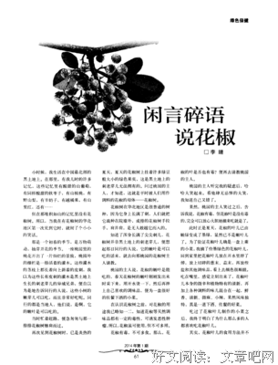 闲言碎语的名言_关于闲言碎语的名言