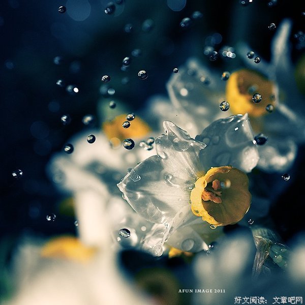感时溅泪优美的句子