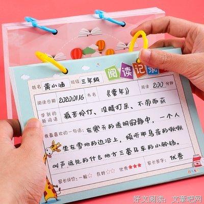 红色笔记本读后感摘抄