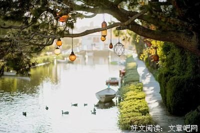 《悲歌：拉赫玛尼洛夫》观后感摘抄