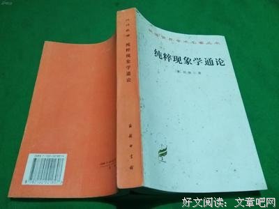 《孔子的现象学阐释九讲》读后感100字
