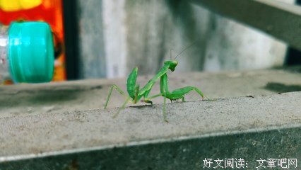 《也是我想说的》的句子