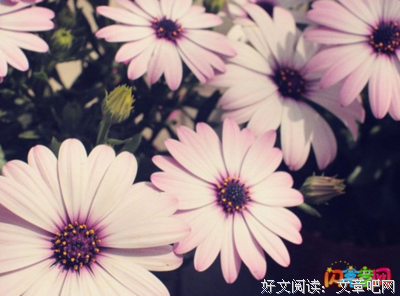 散发光芒好词好句
