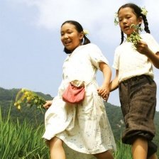 《小小莲池》影评摘抄