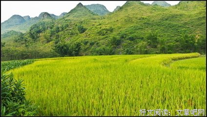 《沃土》影评精选