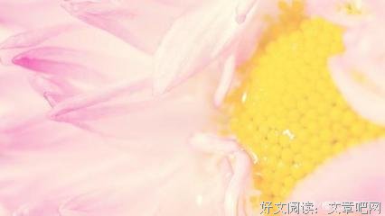 再而三的句子
