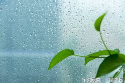 怀揣梦想的人,日子都是甜的