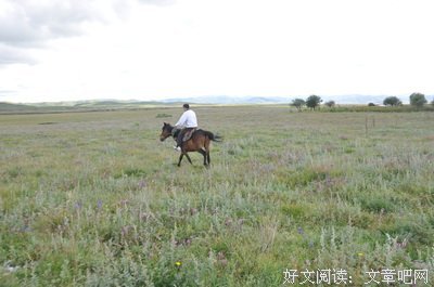 周益清驴行中国-21-辽宁省沈阳市