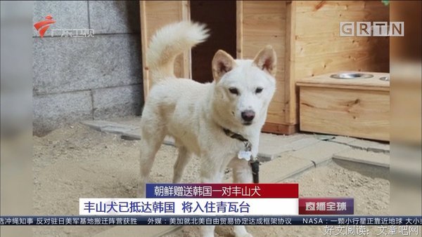 抵达一个人的内心难，片叶不沾身地离开更难