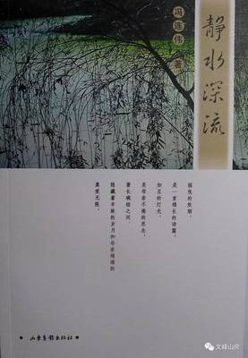 静水深流的读后感大全