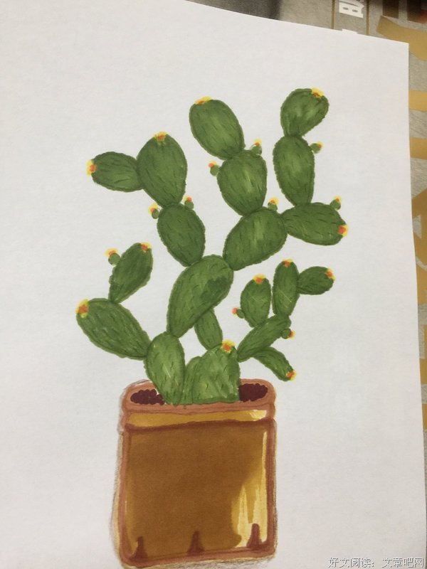 《植物传奇》读后感精选