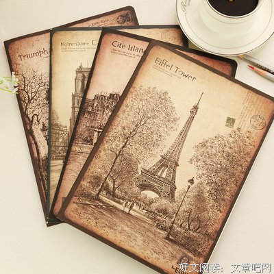 《双生之城》经典读后感有感