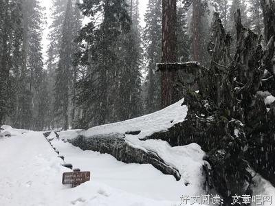 《雪山惊魂3》经典观后感有感