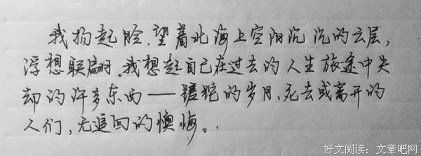 《当心村上春树》读后感摘抄