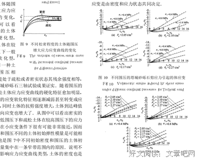 《亲爱的沙皮》读后感摘抄