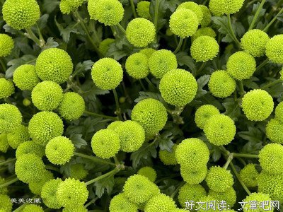 精辟名句欣赏