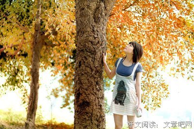 美文句子
