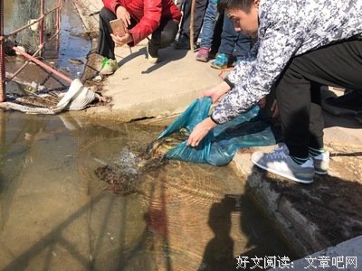 有关哲人說的句子