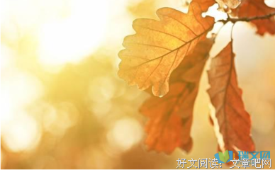 《窗户》影评摘抄