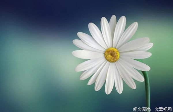 忘记烦恼，活出快乐