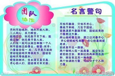 你、不懂/的优美句子