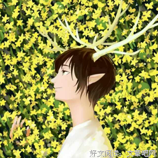 温柔的力量（深度好文）