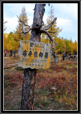《澄明淡雅》的句子