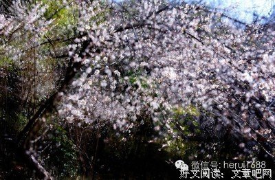 悲凉经典的句子