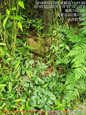 《13号橱柜》读后感锦集