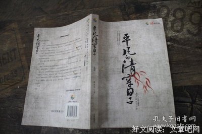 平凡的清穿日子1经典读后感有感