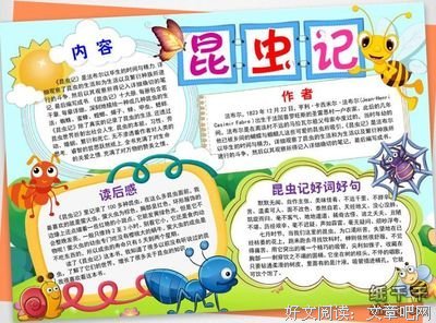 我生命的速度读后感1000字