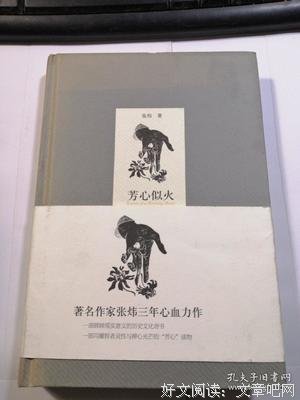 芳心似火读后感摘抄