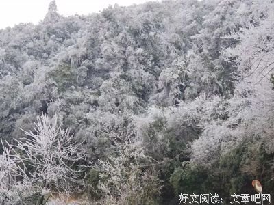 《冰山上的来客》影评精选