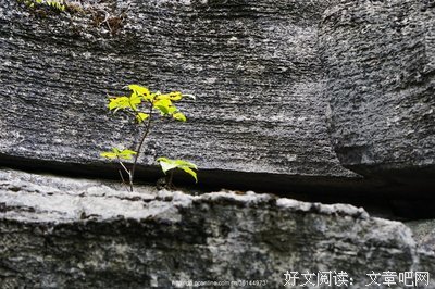 拾萃经典的句子