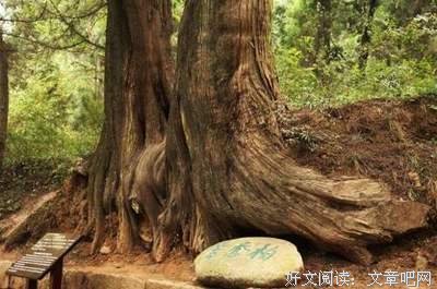 有关想入非非的美文美句摘抄