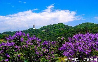 雨过天晴的句子
