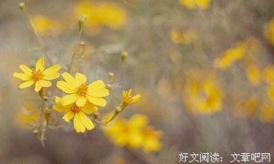 15条关于合久必分的经典语句