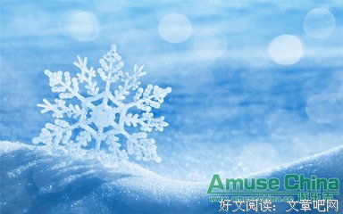 15条关于雪上加霜的经典语句