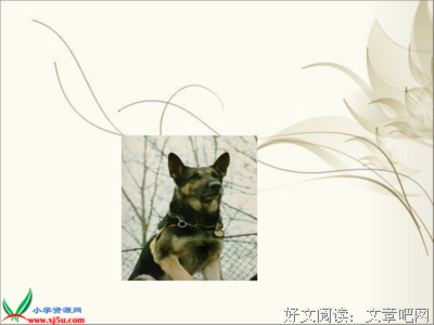 训练有素的句子
