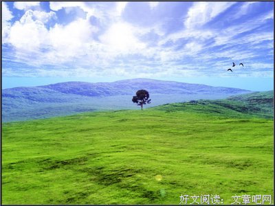 绝美心他大要光名句欣赏