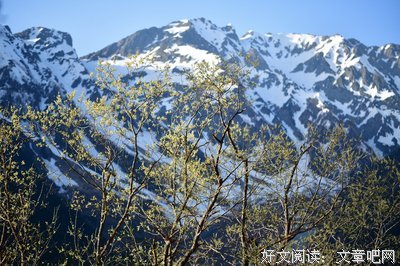 春阳经典的句子
